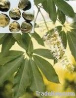 Horse Chestnut Extract/ISO9001, Kosher, Organic certificated