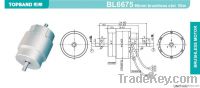 Electric Brushless Motor