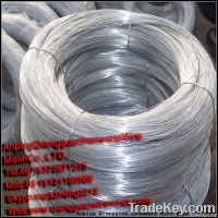 Galvanized Wire BWG22-8 (Own Factory 23 years)