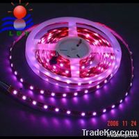 SMD 5050 waterproof Flexible Strip