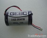 ER34615M LSH20 D 3.6V 3000mA max pulse 14.5Ah GEBC LiSOCI2 BATTERY