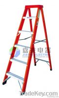 Fiberglass  ladder