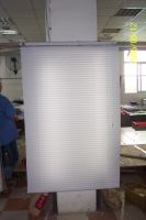 Window Blind