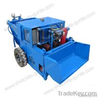 Double Cylinder Piston Mortar Pump DY