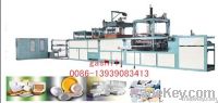 PS Fast food box Equipment From China