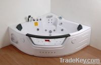 bathtub mould