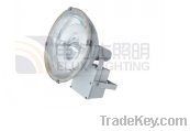 Induction Flood Lamp(FL001)