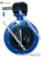 Middle Line Flange Butterfly Valve From China