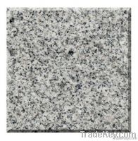Granite Tiles/Slabs G603