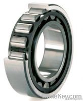 Single-Row Cylindrical Roller Bearing (NU1036N236NU236NJ236)