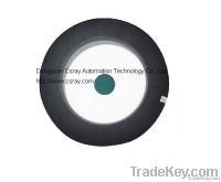 Dome light
