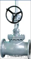 Steel Globe Valves