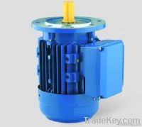 Single-Phase Permanent Split Capacitor Motor