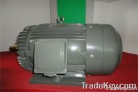 Three-Phase Asynchronous Motor AEEF