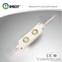 LED Module-Imigy