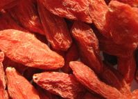 Goji Berry