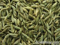 fennel seeds, cummin seeds, spice, spics, cooking spice,