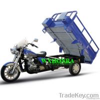 Cargo Tricycle