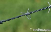 Barbed Iron Wire