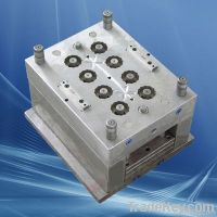 PP-R Mould