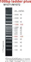 100bp DNA Ladder Plus