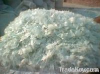 PET FLAKES