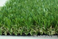 landcaping grass