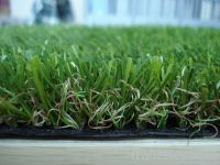 landcaping grass