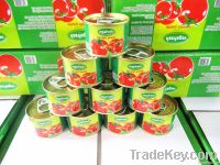 210g canned tomato paste ketchup sauce factory