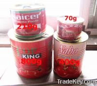 425g canned tomato paste ketchup sauce factory