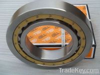 Single Row Cylindrical Roller Bearing