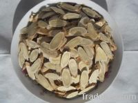 Astragalus