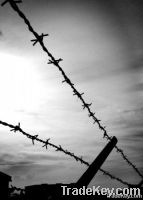 Barbed Wire