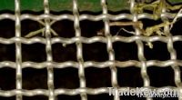 Hot Sales Crimped Wire Mesh