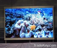 Indoor Led Screen