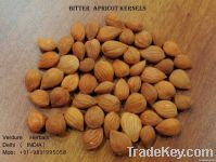 Bitter Apricot Seeds