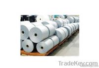 Coated Paper