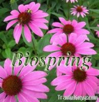 Echinacea Herb Extract