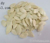 pumpkin seeds