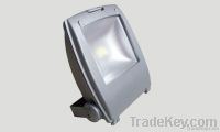 10w/30w/50w/100w LED flood light