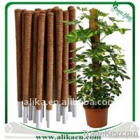 Coco Poles Plant Support