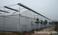 Multi-Span Plastic Greenhouse