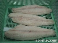 Seafood