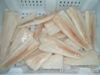 Alaska Pollock Fillets (Theragra Chalcogramma)