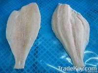 Yellow Fin Sole (Limanda Aspera)