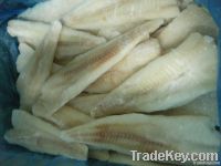 Frozen Alaska Pollock Fillets (Theragra Chalcogramma)