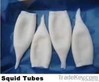 frozen squid tube