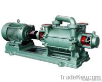 2SK Liquid Ring Vacuum Pump