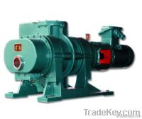 Roots Vacuum Pump