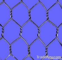 PVC hexagonal wire netting/chicken mesh